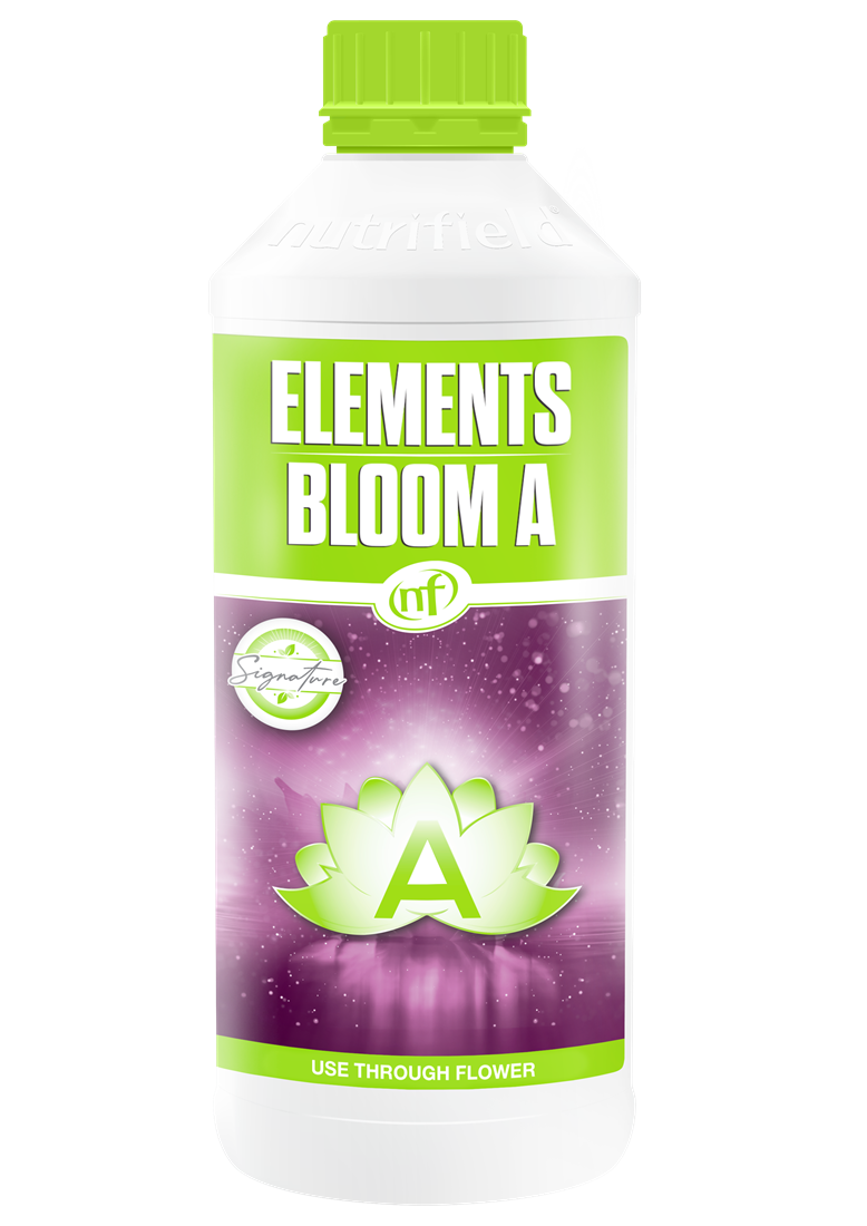 Elements Bloom A