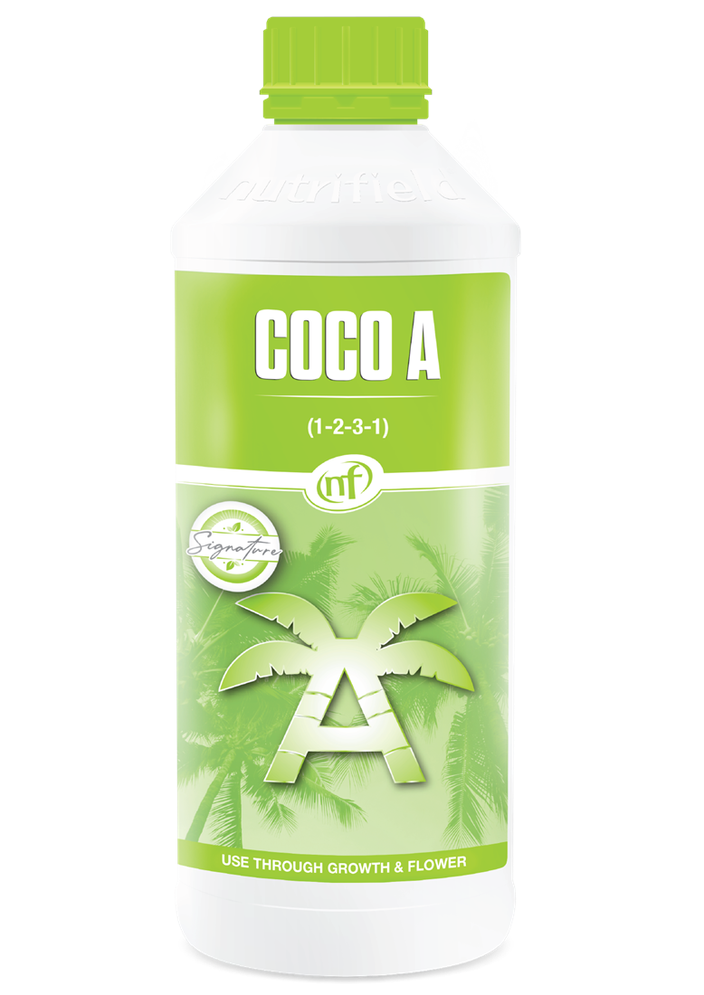 Coco A
