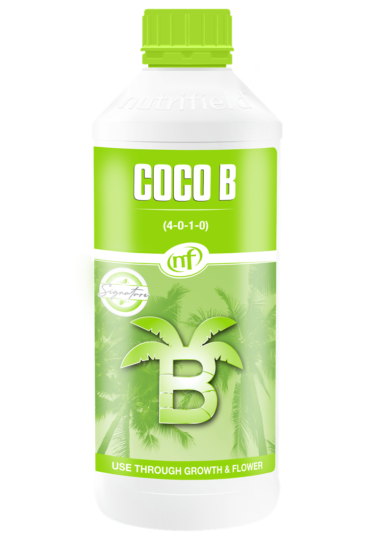 Coco B
