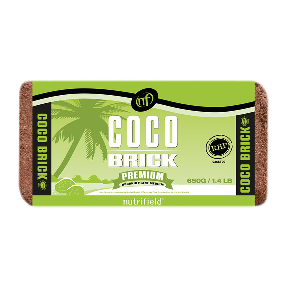 Coco Brick